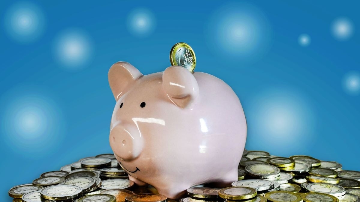 SALVADANAIO MAIALINO ROSA SOLDI RISPARMIO MONETE 1 E 2 EURO ECONOMIA ELABORAZIONE ELABORAZIONI