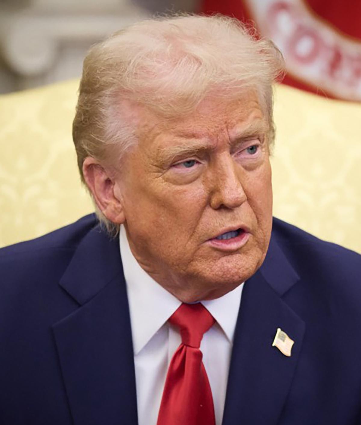 DONALD TRUMP PRESIDENTE USA