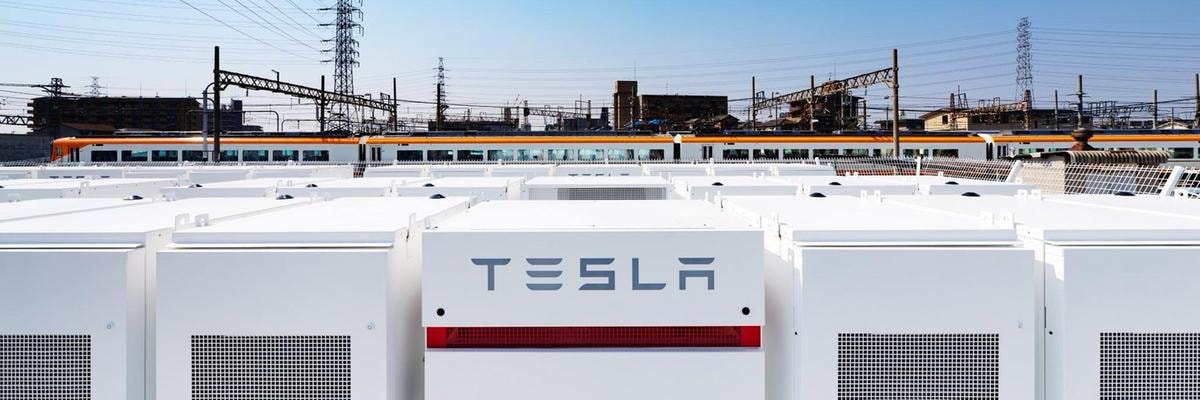 Tesla ed Elon Musk in crisi di vendite e in borsa. Ma per Cathie Wood il titolo può salire dell’800%: ecco perché