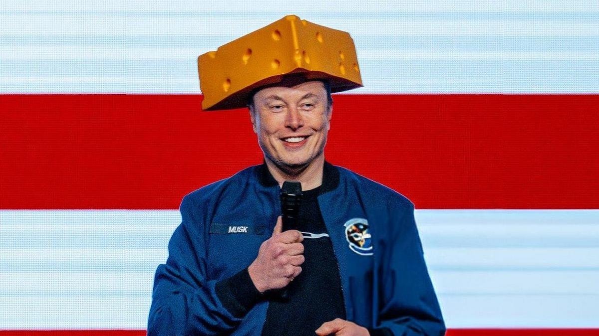 La Francia prende a schiaffi Elon Musk, da inizio anno vendite Tesla in calo del 41%  