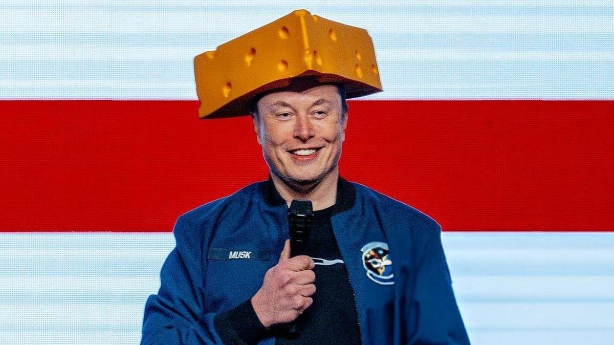 Elon Musk, ceo di Tesla