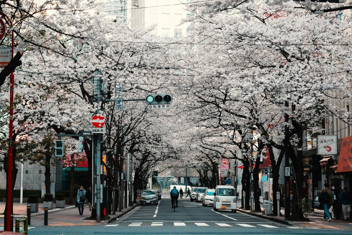 Assaporare il lusso del Giappone. Una guida agli indirizzi imperdibili tra Tokyo, Kyoto e Osaka