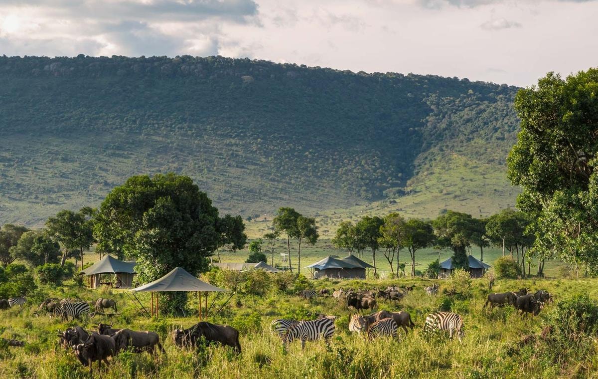 Safari in Africa: i 5 lodge da provare