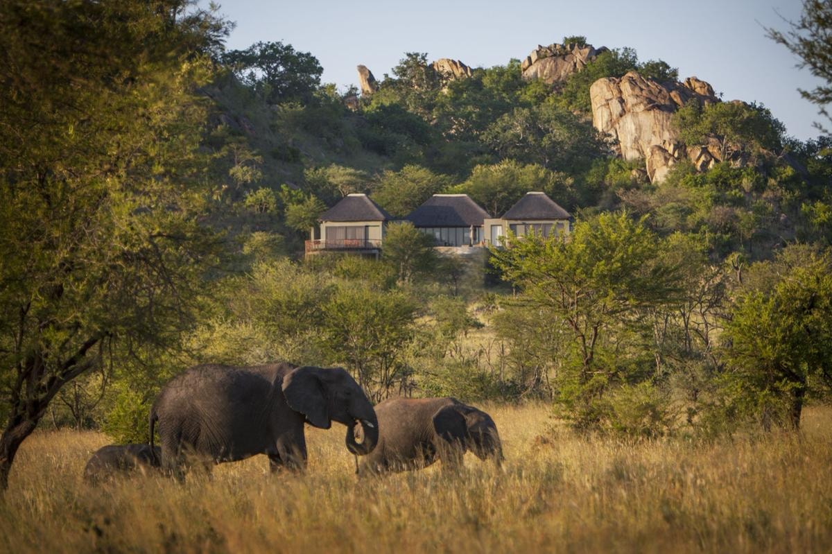 Safari in Africa: i 5 lodge da provare