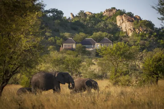 Safari in Africa: i 5 lodge da provare
