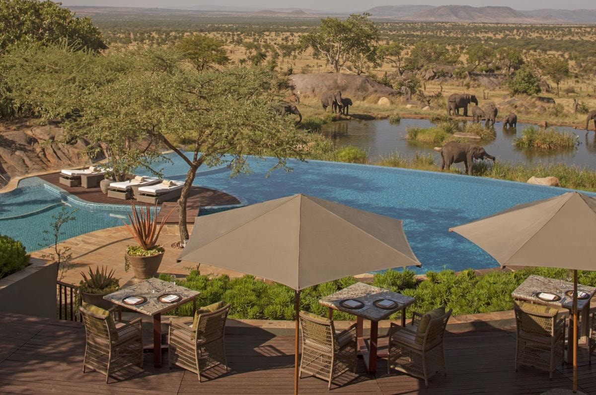 Safari in Africa: i 5 lodge da provare