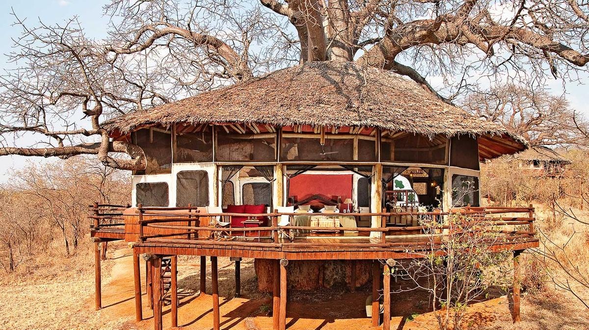 Safari in Africa: i 5 lodge da provare
