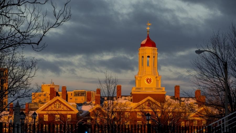 Università di Harvard