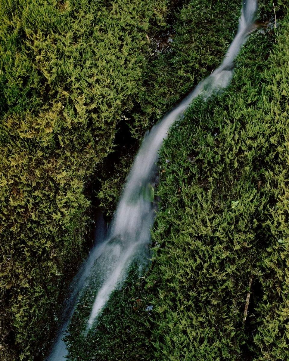 Una foto di una cascata (ph Kering official website)