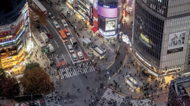 Un selfie tra i ciliegi del parco UenoL'incrocio pedonale di Shibuya, il più trafficato del mondo