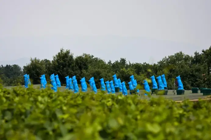 Blue Guardians del collettivo Cracking Art montano la guardia a Ca' del Bosco.