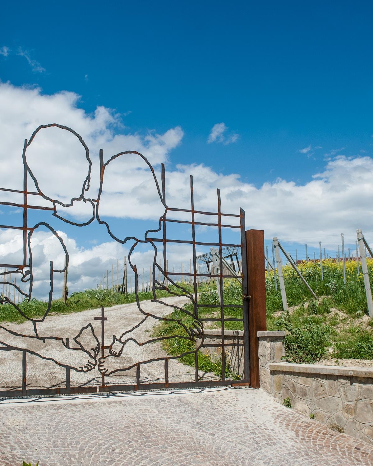 Arte e vino: ora il Gran Tour è tra vigne e cantine. Ecco gli indirizzi top in Italia 