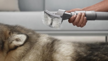 Le 10 meraviglie del Pet-tech