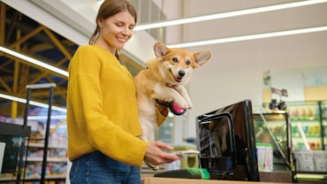 Le 10 meraviglie del Pet-techLe 10 meraviglie del Pet-techLe 10 meraviglie del Pet-techLe 10 meraviglie del Pet-techLe 10 meraviglie del Pet-techLe 10 meraviglie del Pet-techLe 10 meraviglie del Pet-techModern home interior with rattan furniture and dry plant in vase, 3d renderYoung satisfied woman holding her corgi dog on hands paying for purchase at pet shop counter desk. Female customer using mobile app for wireless payment