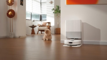 Le 10 meraviglie del Pet-techLe 10 meraviglie del Pet-tech