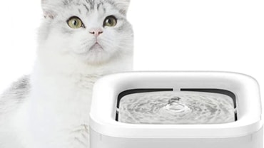 Le 10 meraviglie del Pet-techLe 10 meraviglie del Pet-techLe 10 meraviglie del Pet-techLe 10 meraviglie del Pet-techLe 10 meraviglie del Pet-techLe 10 meraviglie del Pet-tech