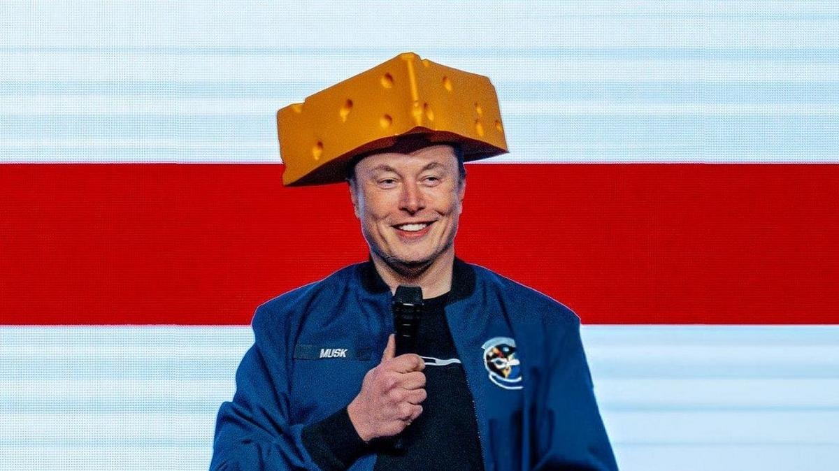 Elon Musk, ceo e fondatore di Tesla