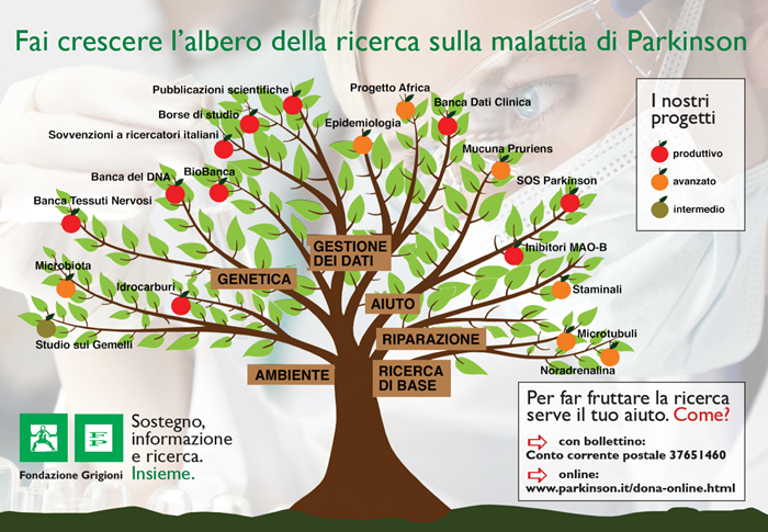 Quattro strade per la ricerca 