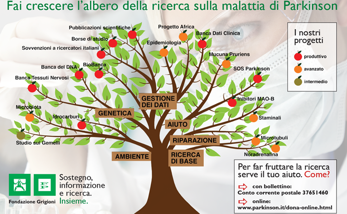 Quattro strade per la ricerca 