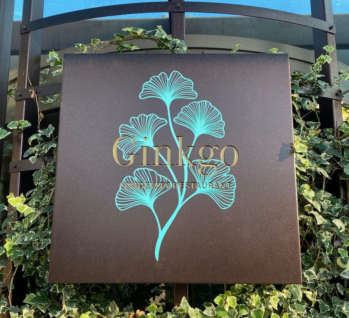 Ginkgo e il Metodo Acquaviva: la nuova frontiera della cucina per la longevità a Palazzo di Varignana