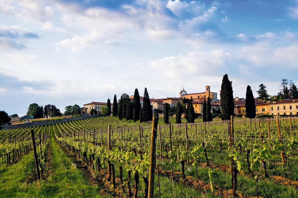 Franciacorta wine area, Erbusco