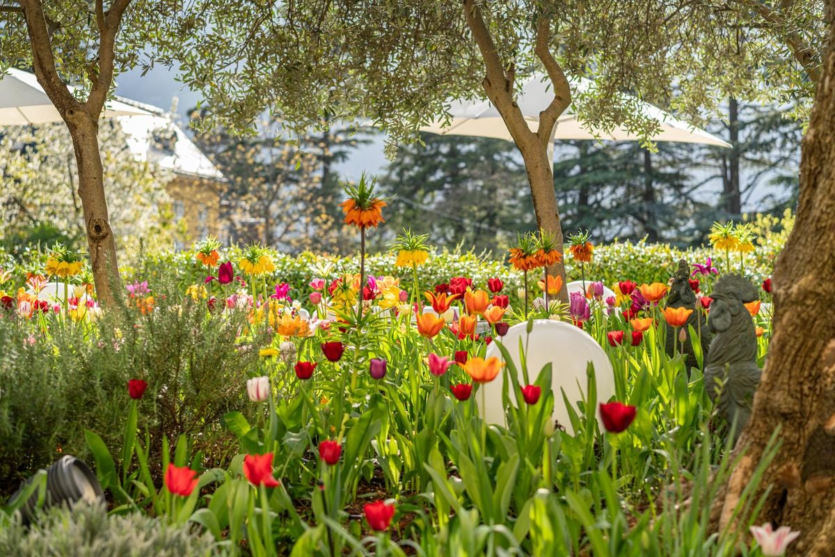 Hotel Mignon: il cinque stelle di Merano dove tutti si sentono a casa