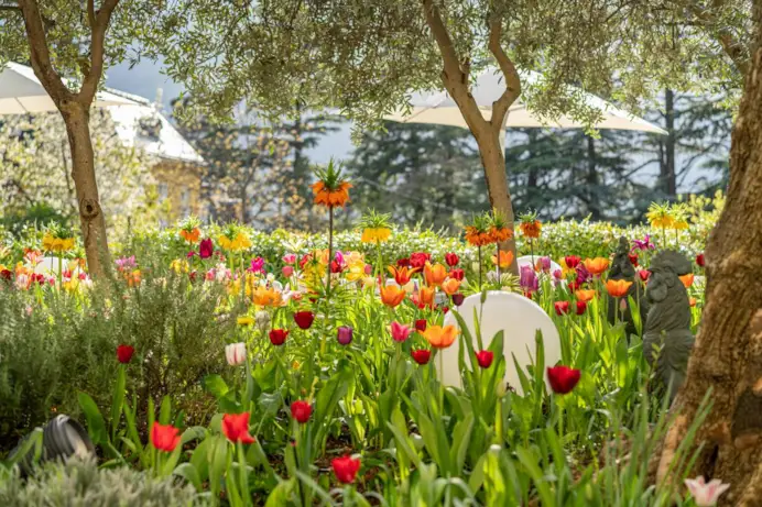 Hotel Mignon: il cinque stelle di Merano dove tutti si sentono a casa