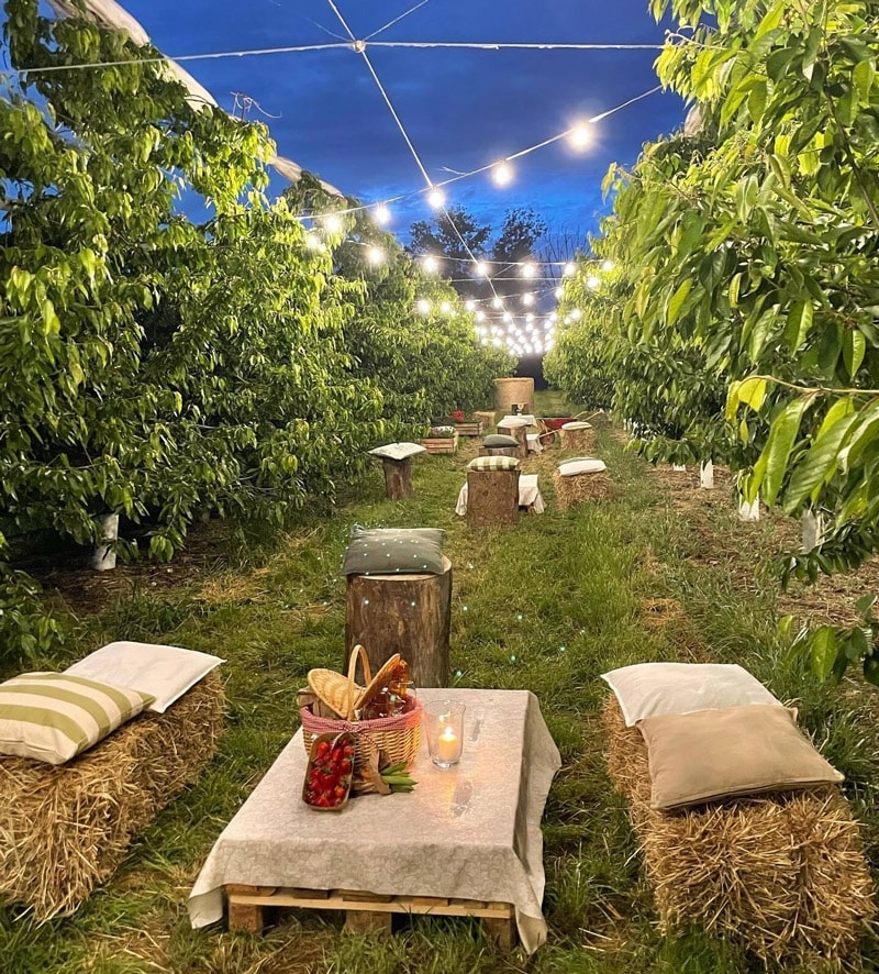 Pic-nic o chic-nic? Pranzare en plein air diventa un lusso