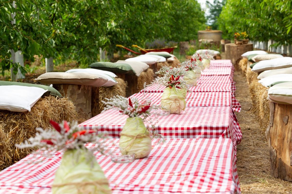Pic-nic o chic-nic? Pranzare en plein air diventa un lusso