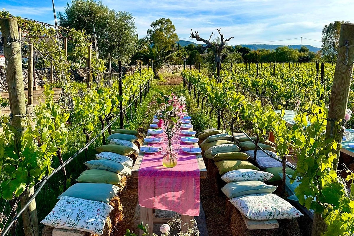 Pic-nic o chic-nic? Pranzare en plein air diventa un lusso