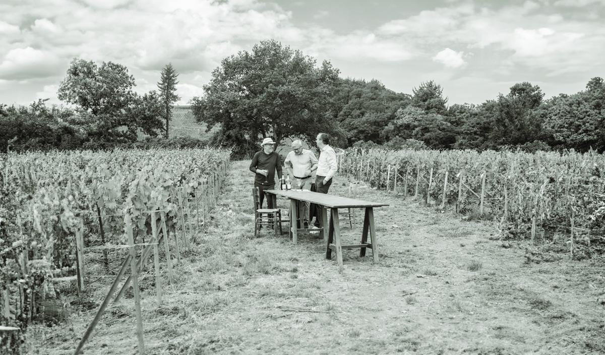 Da sinistra, Philippe Starck, Jean-Baptiste Lécaillon e Frédéric Rouzaud, presidente e direttore generale di Louis Roederer,