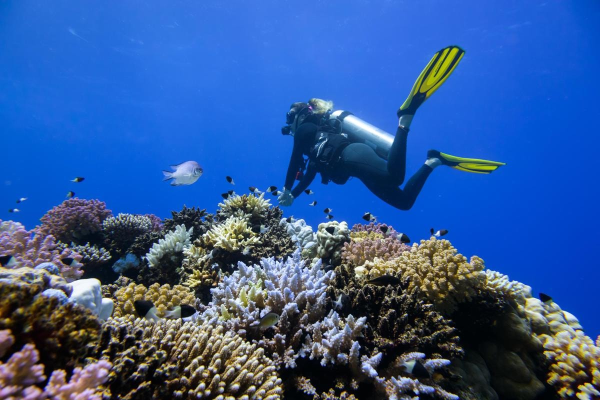 The Red Sea, la nuova destinazione di lusso raccontata da John Pagano, ceo di Red Sea Global