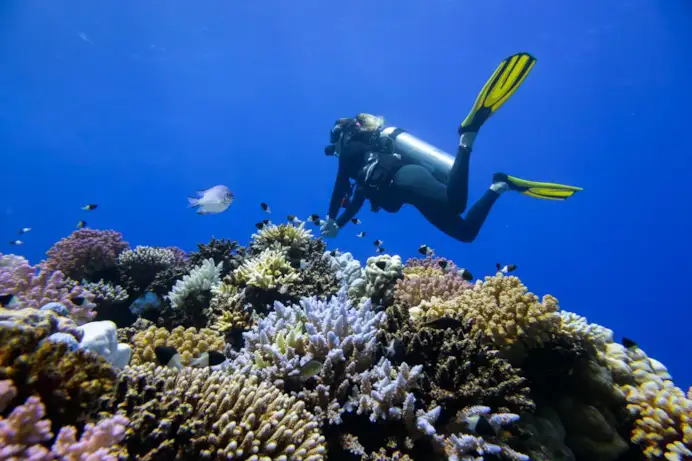 The Red Sea, la nuova destinazione di lusso raccontata da John Pagano, ceo di Red Sea Global