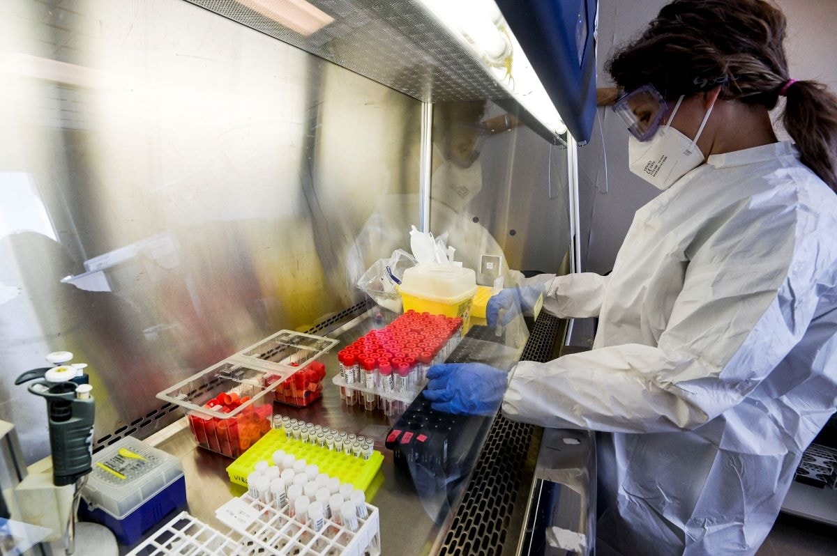 Diasorin: perché è importante l’ok della Fda al pannello per la diagnosi delle infezioni del sangue, il Liaison Plex