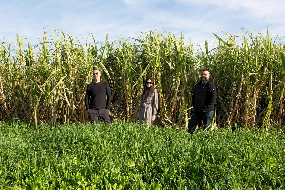 Da sinistra, Hugo Gallardo, Annalisa Spadaro, Alejando Lopez.