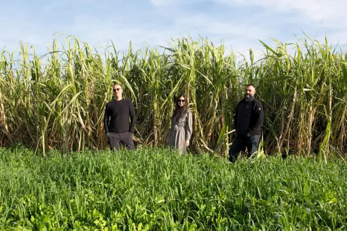 Da sinistra, Hugo Gallardo, Annalisa Spadaro, Alejando Lopez.
