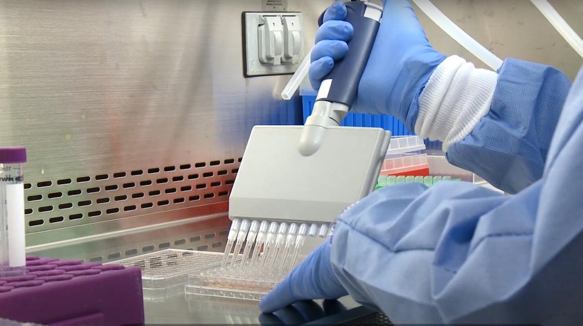 Gilead Sciences ottiene l’approvazione da Fda su Yeztugo, il farmaco che previene l’Hiv