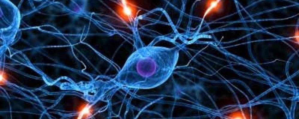 Stimolazione elettrica spinale contro la sclerosi multipla