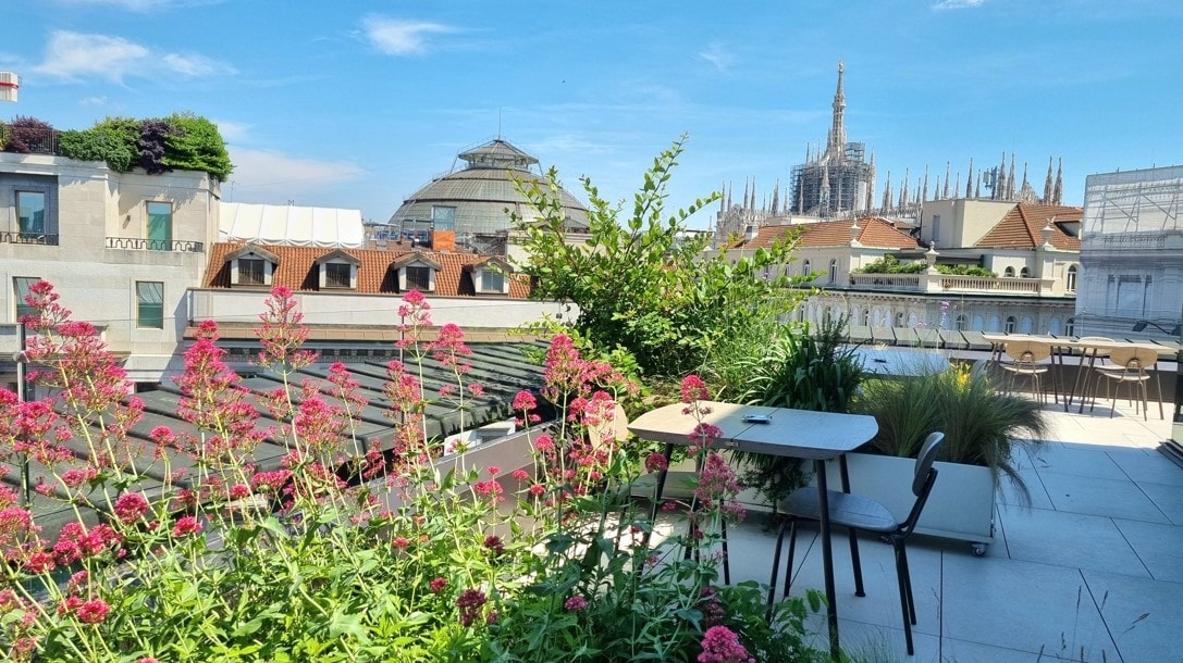 Aperitivo in terrazza a Milano: i 10 rooftop dove la miscelazione vola alto, dall’Americano alla kombucha al Dirty Martini di Torre Prada