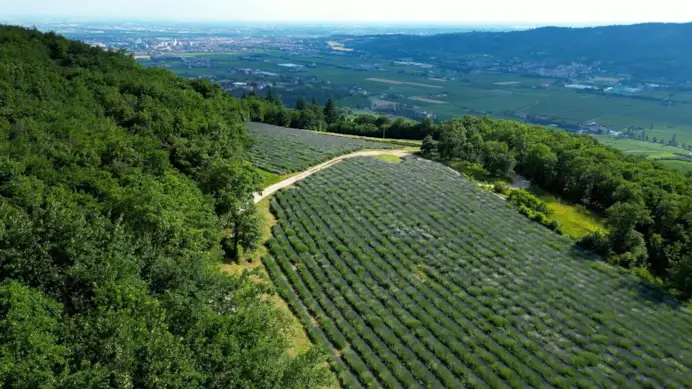 Erbe, miele, vino e stelle: come nasce un ecosistema agricolo che cura anche l’anima