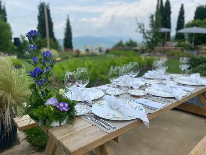Erbe, miele, vino e stelle: come nasce un ecosistema agricolo che cura anche l’anima