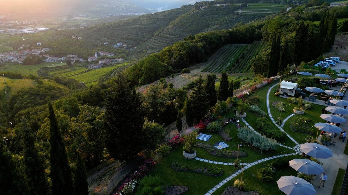 Erbe, miele, vino e stelle: come nasce un ecosistema agricolo che cura anche l’anima