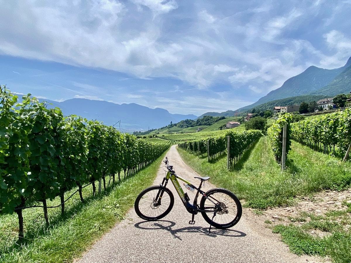 Wine&Bike Alto Adige: otto tour in sella tra vigneti e cantine d’eccellenza