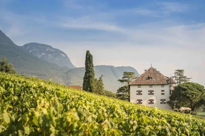 Wine&Bike Alto Adige: otto tour in sella tra vigneti e cantine d’eccellenza
