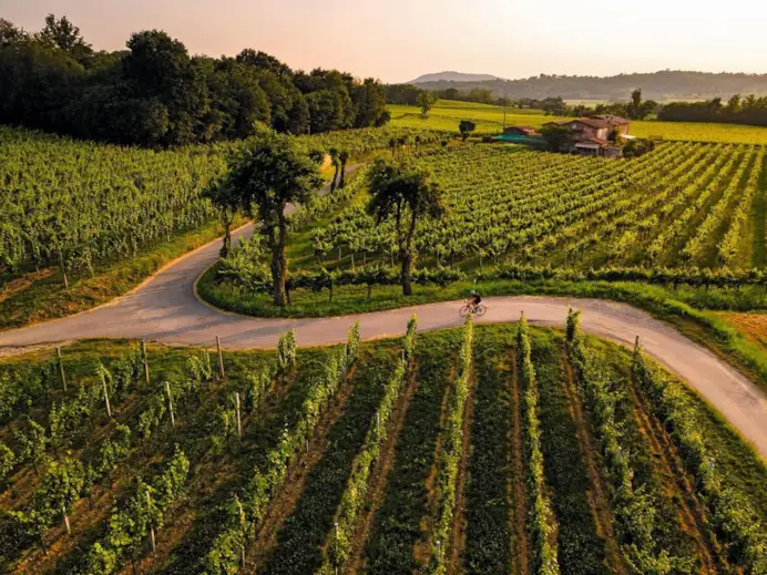 Per non perdersi in un bicchiere di... Franciacorta