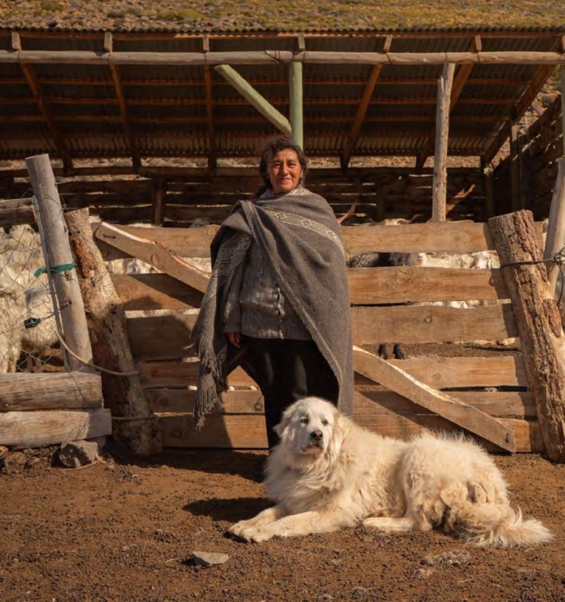 Un produttore di lana di pecora in Patagonia (ph Regenerative fund for nature 2024 annual rapport)