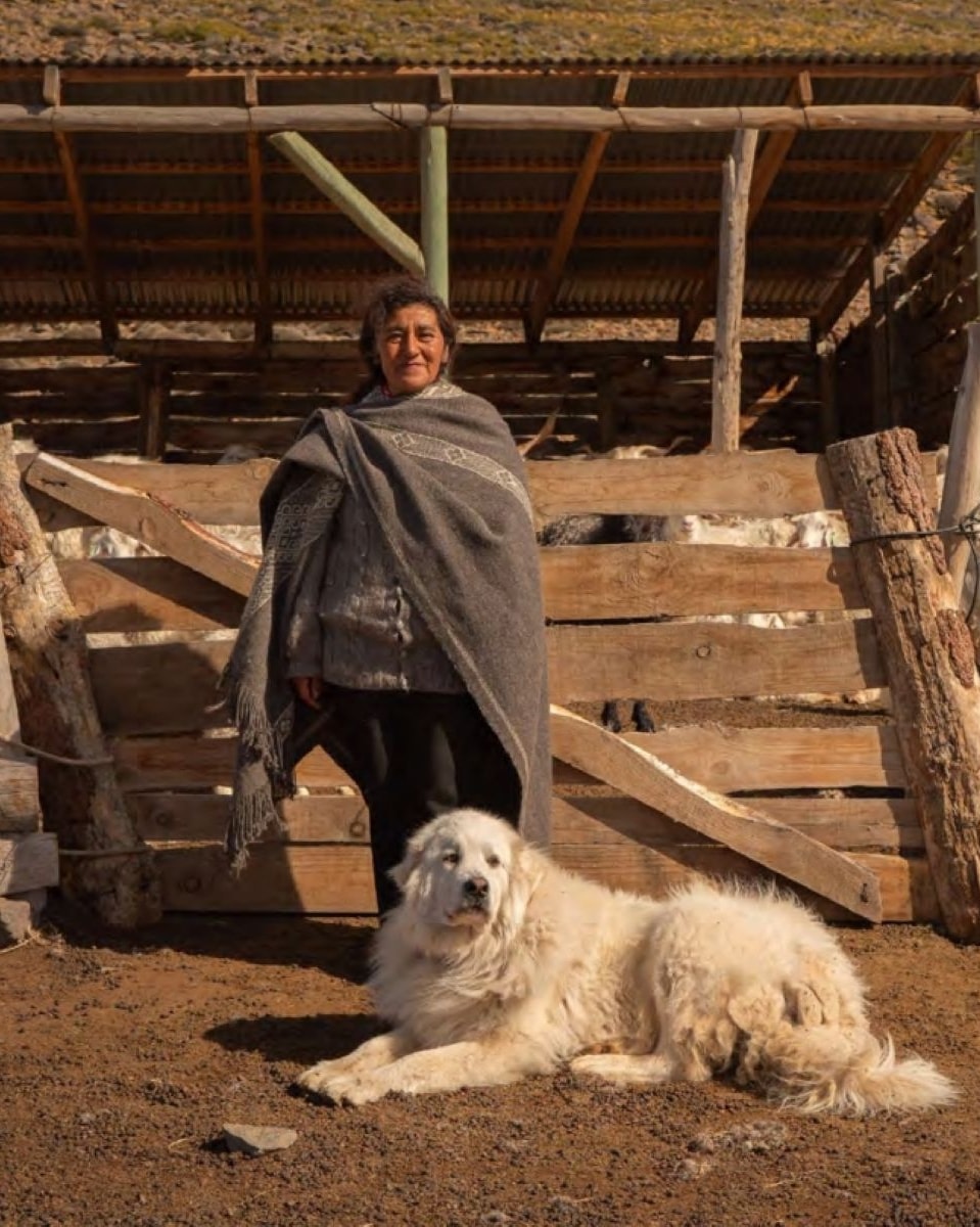 Un produttore di lana di pecora in Patagonia (ph Regenerative fund for nature 2024 annual rapport)