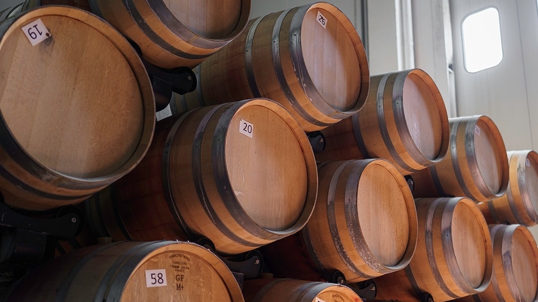 Vino, export verso gli Usa in crescita del 2,5% nel primo semestre. Incrementi a doppia cifra in Canada e Germania