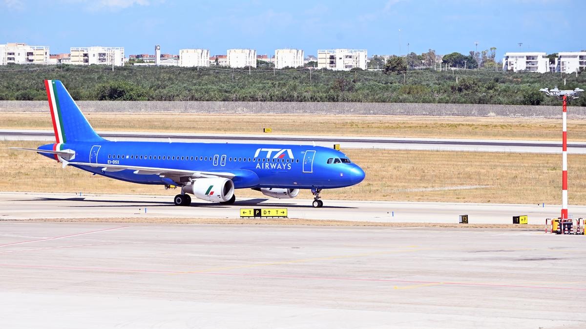 Cani di grossa taglia in aereo, ecco come portarli in cabina: regole, limiti e obblighi