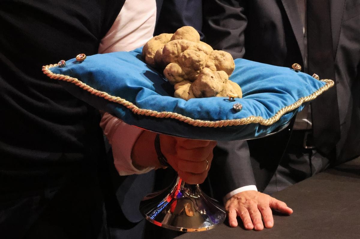 Ad Alba, ma non solo, per la Fiera Internazionale del Tartufo